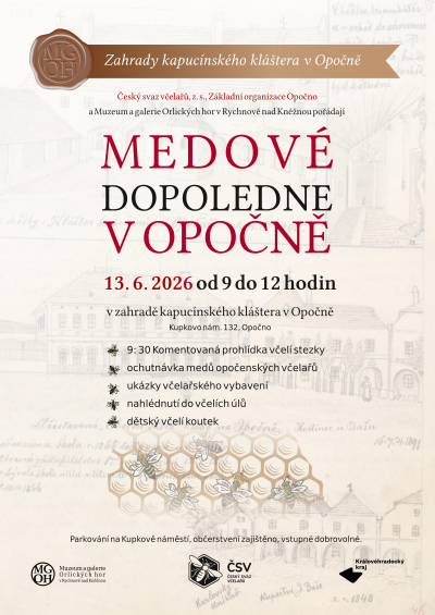 Medové dopoledne