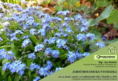 Jarní botanická vycházka