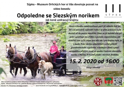 Jindřiška Svobodová: Odpoledne se slezským norikem - jak koně uzdravují krajinu