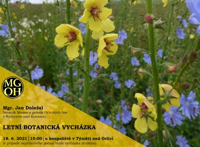 Letní botanická vycházka