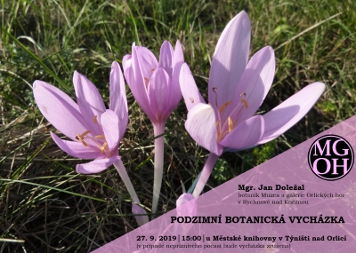 Podzimní botanická vycházka v Týništi nad Orlicí