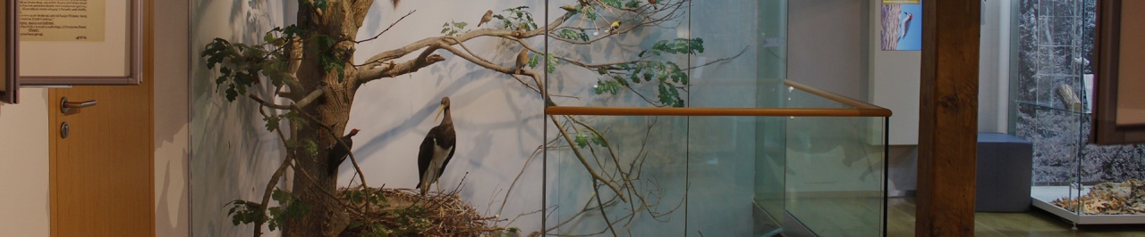 Muzeum a galerie Orlických hor