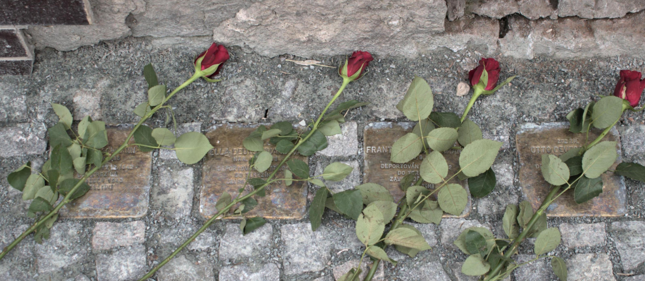 Muzeum a galerie Orlických hor