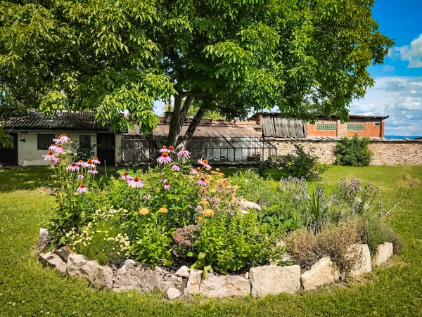 Zahrada kláštera kapucínů v Opočně 2