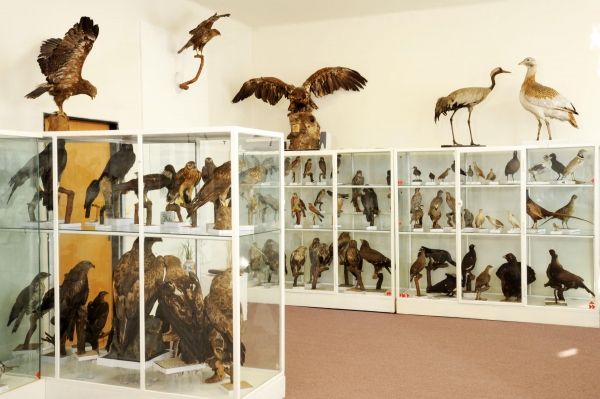 Památník Karla Plachetky